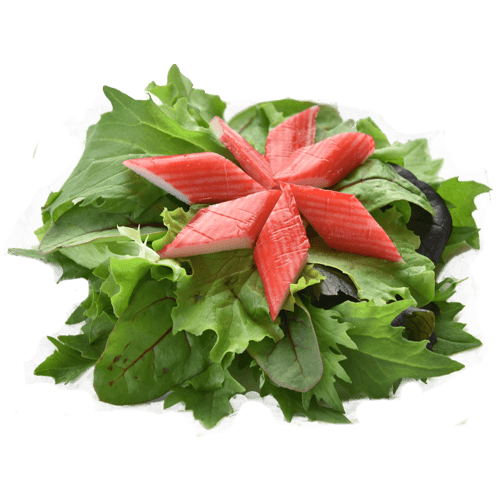 45. kani sarada 